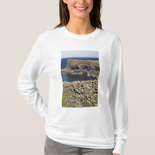 Polygonale basalt, Staffa, voor de kust van Isle o T-shirt
