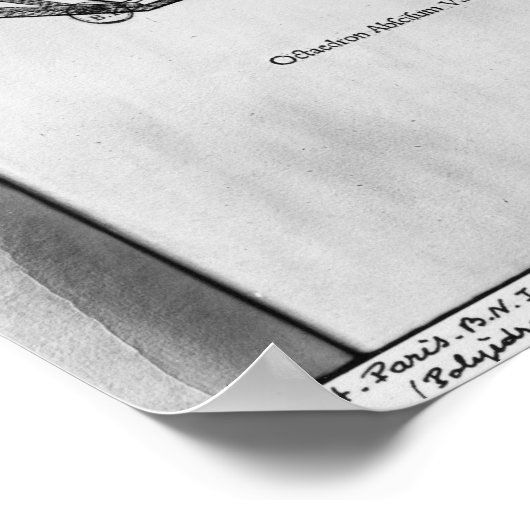 Polyhedron uit de Divina Proportione Poster (Hoek)