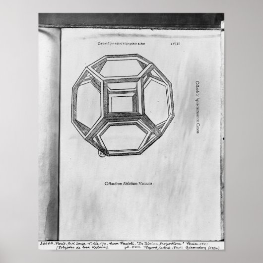Polyhedron uit de Divina Proportione Poster (Voorkant)