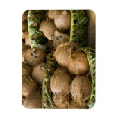 Polynesië, Koninkrijk Tonga. Weergave van kosnoten Magneet (Verticaal)