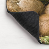 Polynesië, Koninkrijk Tonga. Weergave van kosnoten Muismat (Hoek)