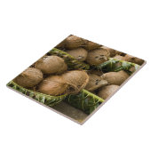 Polynesië, Koninkrijk Tonga. Weergave van kosnoten Tegeltje (Zijkant)