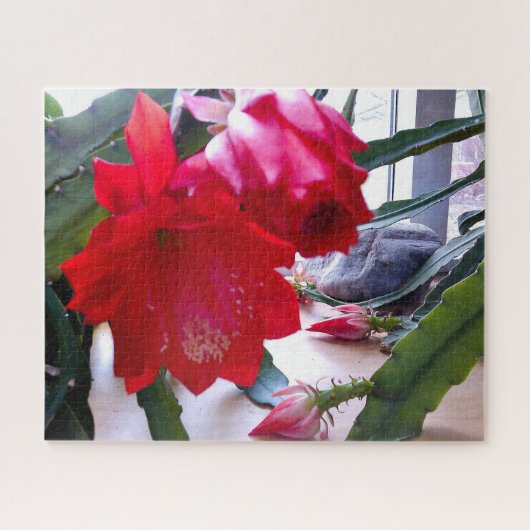 POLYNESISCHE DRAAK CACTUS NACHTBLOESEM puzzel (Horizontaal)