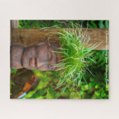 Polynesische Samoa.Kerstgroeten Legpuzzel (Horizontaal)