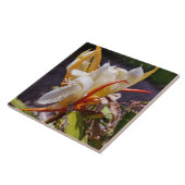 POLYNISCHE DRAAK CACTUS NACHTBLOEI TEGEL TEGELTJE (Zijkant)