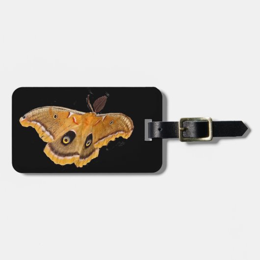 Polyphemus Moth Bagagelabel (Voorkant horizontaal)
