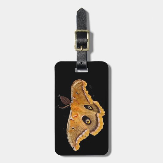Polyphemus Moth Bagagelabel (Voorkant verticaal)