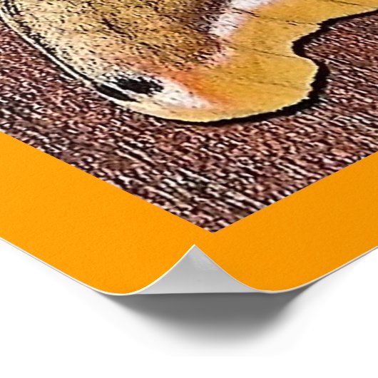 Polyphemus Moth Poster (Hoek)