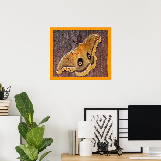 Polyphemus Moth Poster (Thuiskantoor)