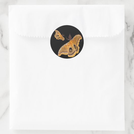 Polyphemus Moth Ronde Sticker (Tas)
