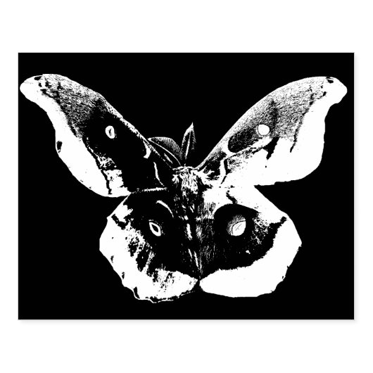 Polyphemus Moth Rubber Stempel (Afrduk)