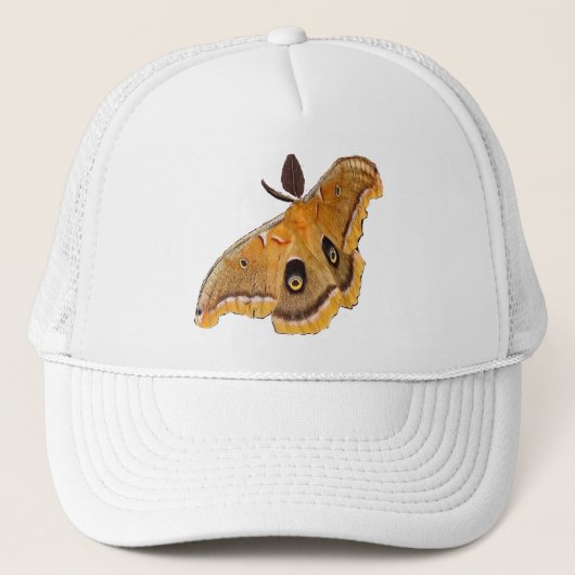 Polyphemus Moth Trucker Pet (Voorkant)