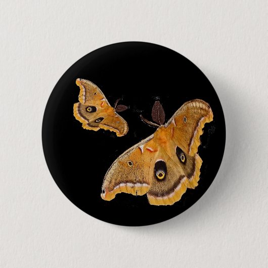 Polyphemus Moths Ronde Button 5,7 Cm (Voorkant)