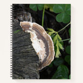 Polypore schimmel op boomstronk notitieboek (Voorkant)