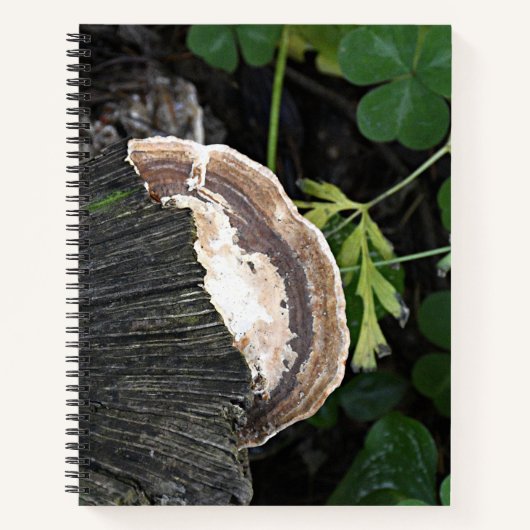 Polypore schimmel op boomstronk notitieboek (Voorkant)