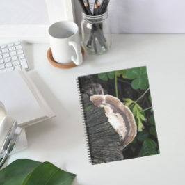 Polypore schimmel op boomstronk notitieboek