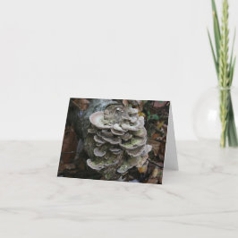 Polypore schimmelkaart (blanco) bedankkaart