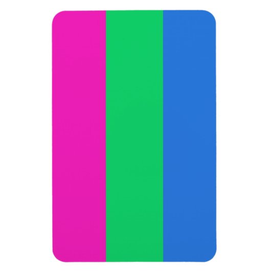 Polyseksuele geaardste vlag magneet (Verticaal)