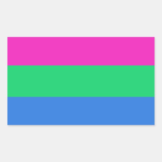 Polyseksuele geaardste vlag rechthoekige sticker (Voorkant)