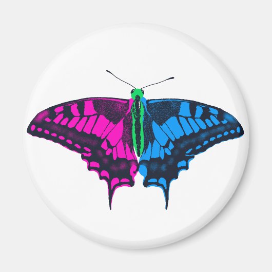Polyseksuele geaardste vlag Swallowtail Butterfly Magneet (Voorkant)