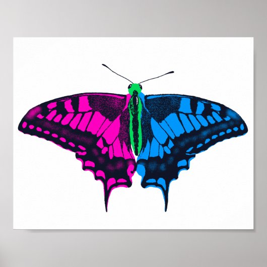 Polyseksuele geaardste vlag Swallowtail Butterfly Poster (Voorkant)