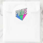 Polyseksuele pride Burst Ronde Sticker (Tas)