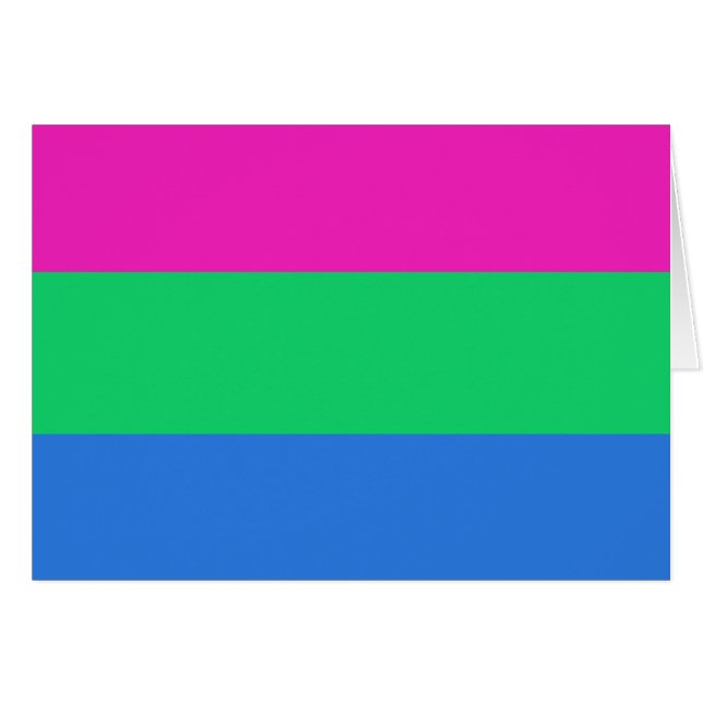 Polyseksuele Pride Vlag (Voorkant Horizontaal)