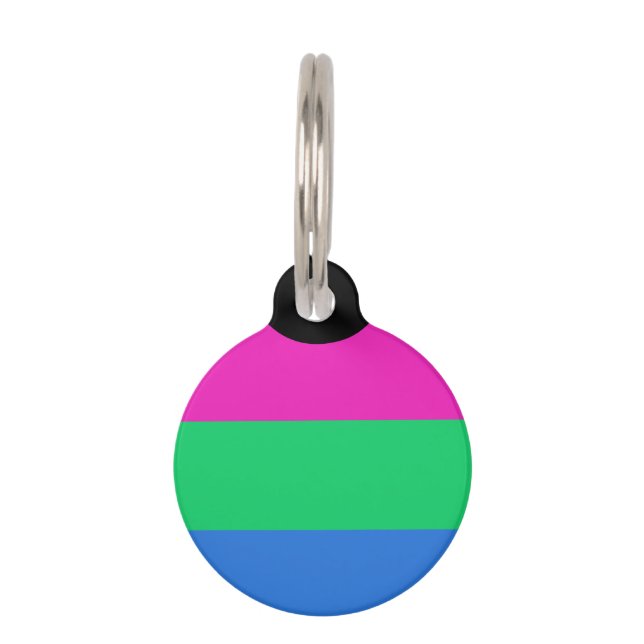 Polyseksuele Pride Vlag Huisdierpenning (Voorkant)
