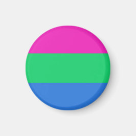 Polyseksuele Pride Vlag Magneet