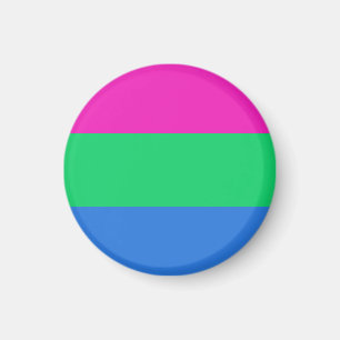 Polyseksuele Pride Vlag Magneet