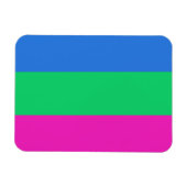 Polyseksuele Pride Vlag Magneet (Horizontaal)