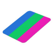 Polyseksuele Pride Vlag Magneet (Linkerzijde)