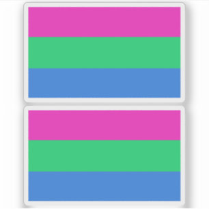 Polyseksuele Vlag Sticker