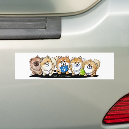 POM Parade Bumpersticker (Op auto)