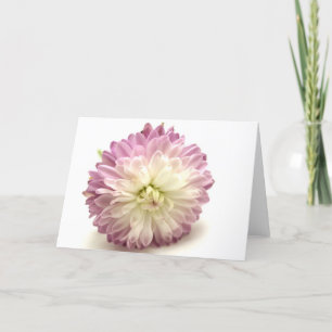 pom pom kaart