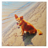 Pomchi Dog. Tegeltje (Voorkant)