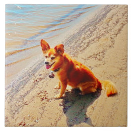 Pomchi Dog. Tegeltje