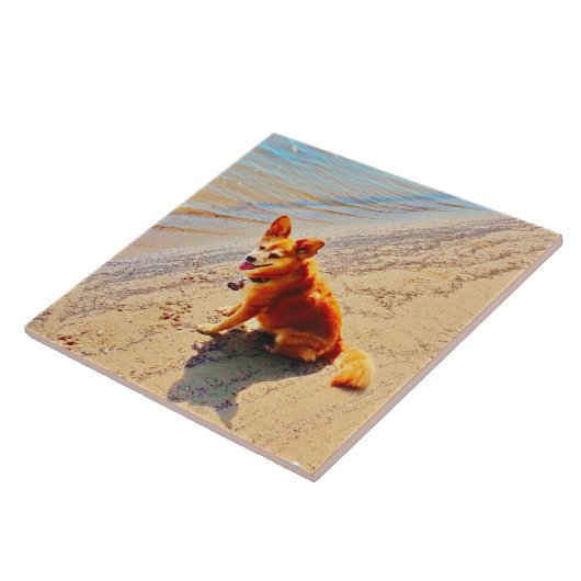 Pomchi Dog. Tegeltje (Zijkant)