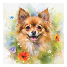 Pomchi Floral Waterverf