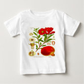 Pomegranaat (Voorkant)