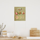 Pomegranaat 1 poster (Keuken)