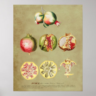 Pomegranaat 1 poster