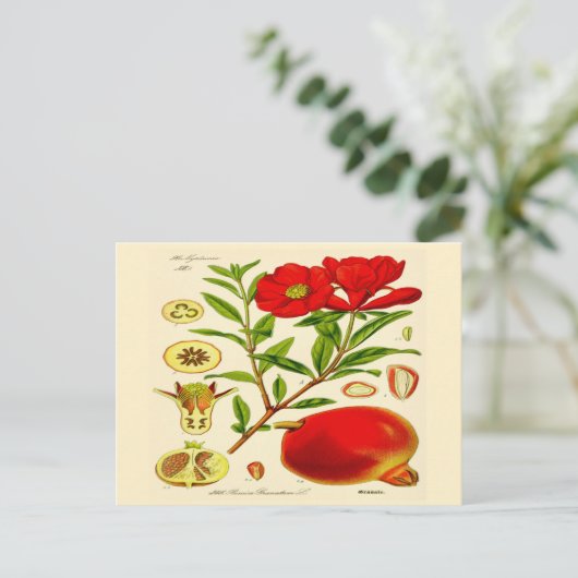 Pomegranaat Briefkaart (Staand voorkant)