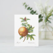 Pomegranaat Briefkaart (Staand voorkant)