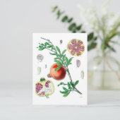 Pomegranaat Briefkaart (Staand voorkant)