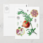 Pomegranaat Briefkaart (Voorkant / Achterkant)