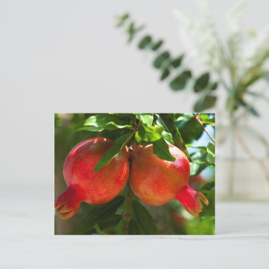 Pomegranaat Briefkaart (Staand voorkant)