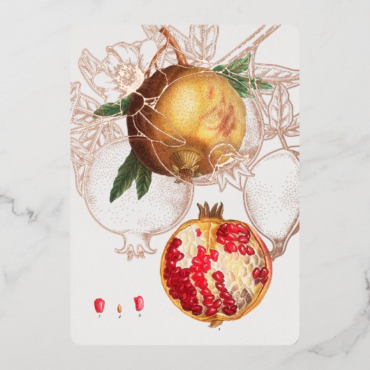 Pomegranaat door Redouté Folie Feestdagenkaart (Voorkant)