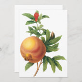 Pomegranaat door Redoute Invitation (Voorkant / Achterkant)