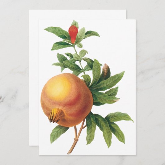 Pomegranaat door Redoute Invitation (Voorkant / Achterkant)
